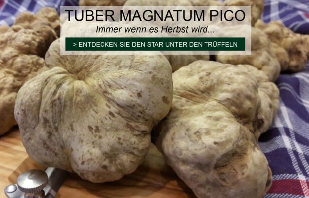 Terra di Tartufi - Frische Trüffeln und Trüffelprodukte sowie besondere Lebensmittelspezialitäten